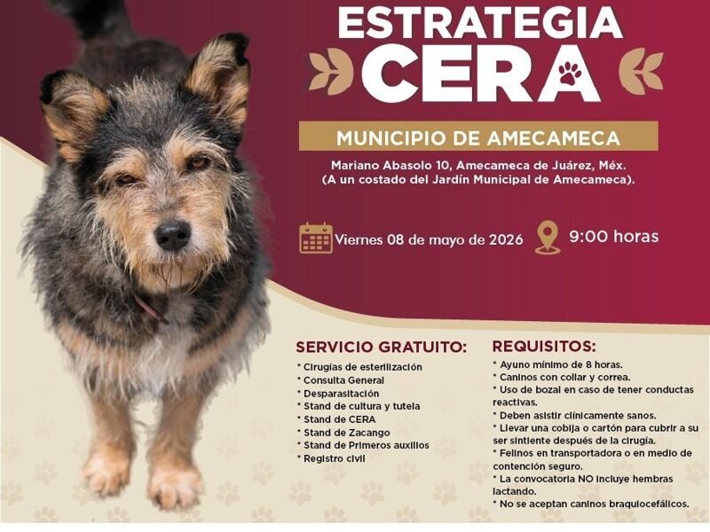 Estrategia CERA llega a Amecameca con servicios veterinarios gratuitos