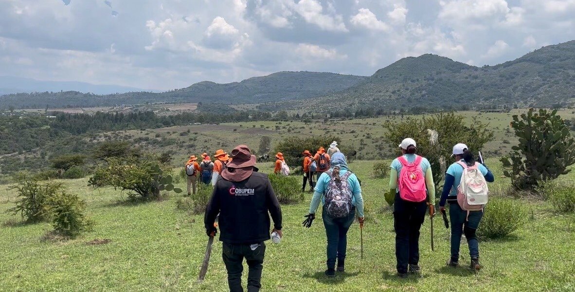 Búsqueda masiva en el Estado de México: 165 autoridades y colectivos rastrean 6.6 km²