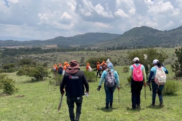 Búsqueda masiva en el Estado de México: 165 autoridades y colectivos rastrean 6.6 km²