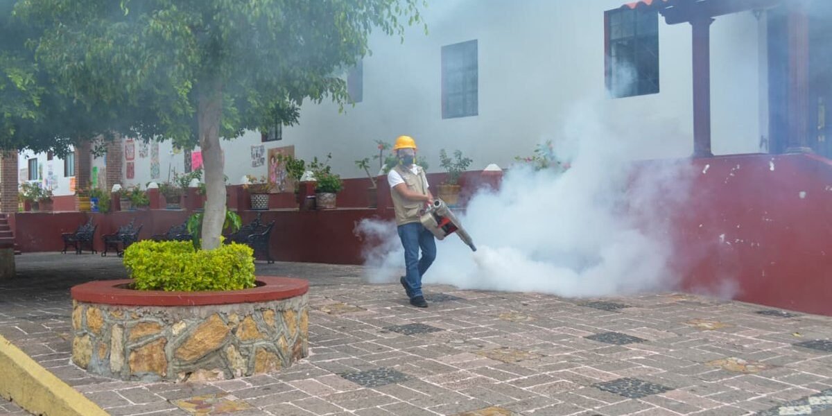 Intensifican lucha contra dengue y chikunguya en la región sur del Edomex