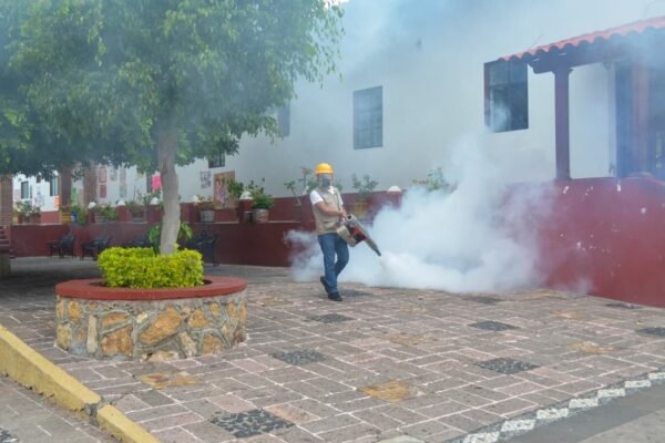 Intensifican lucha contra dengue y chikunguya en la región sur del Edomex