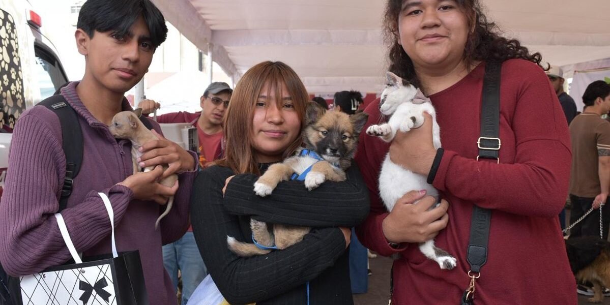 Calimaya ofrece esterilización gratuita de mascotas el 18 de mayo