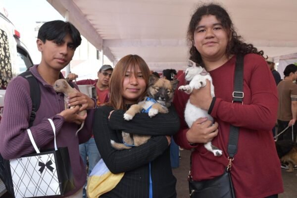 Calimaya ofrece esterilización gratuita de mascotas el 18 de mayo