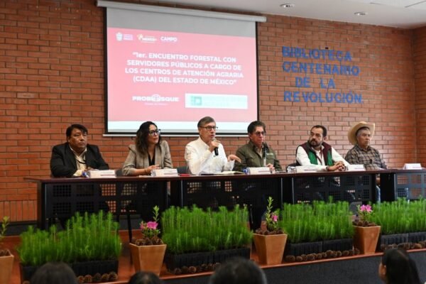 Estado de México alinea estrategia para proteger bosques contra tala ilegal y plagas