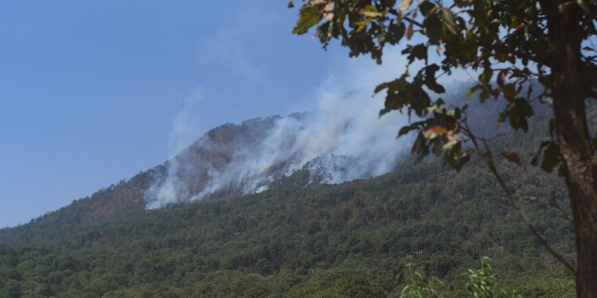 Estado de México lanza plan contra incendios forestales por quemas agrícolas