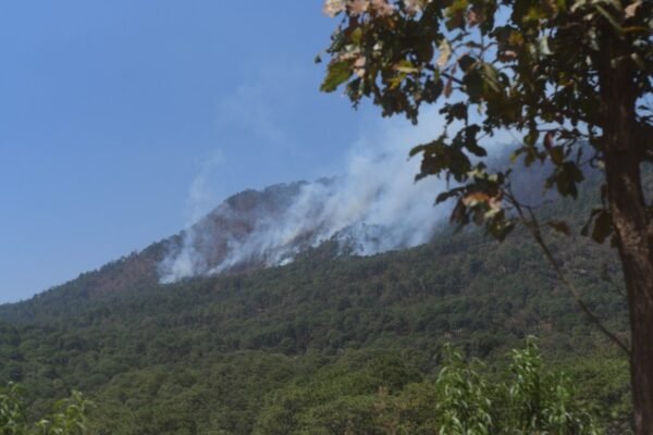 Estado de México lanza plan contra incendios forestales por quemas agrícolas