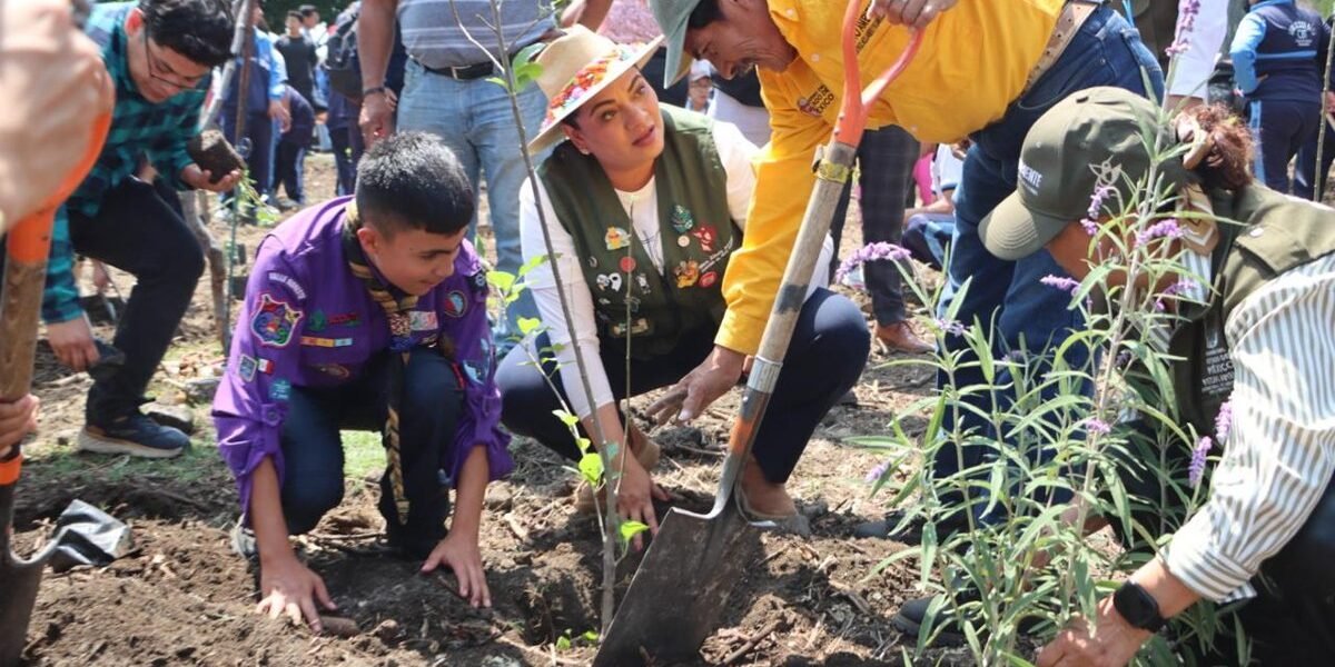 Estado de México lanza programa para crear 400 jardines de polinizadores