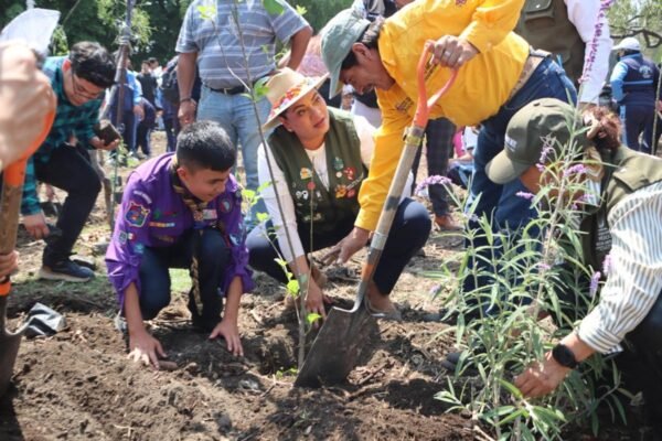 Estado de México lanza programa para crear 400 jardines de polinizadores