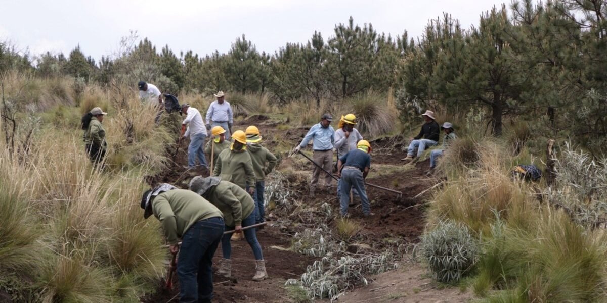Protectora de Bosques ejecuta jornada de prevención contra erosión en Tianguistenco
