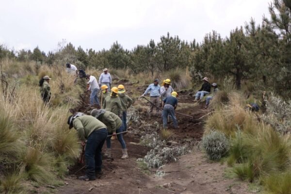 Protectora de Bosques ejecuta jornada de prevención contra erosión en Tianguistenco