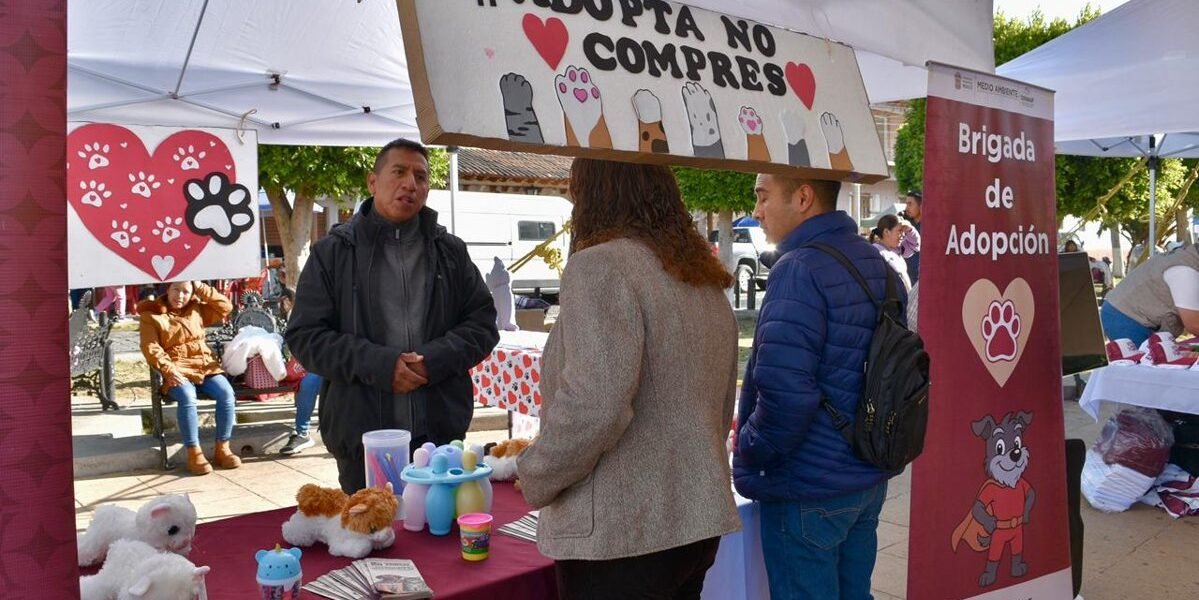 Estado de México aprueba ley integral de protección animal