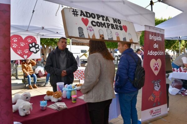 Estado de México aprueba ley integral de protección animal