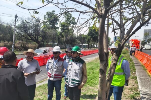 Inicia construcción de la Línea V del Mexibús Lechería-El Rosario