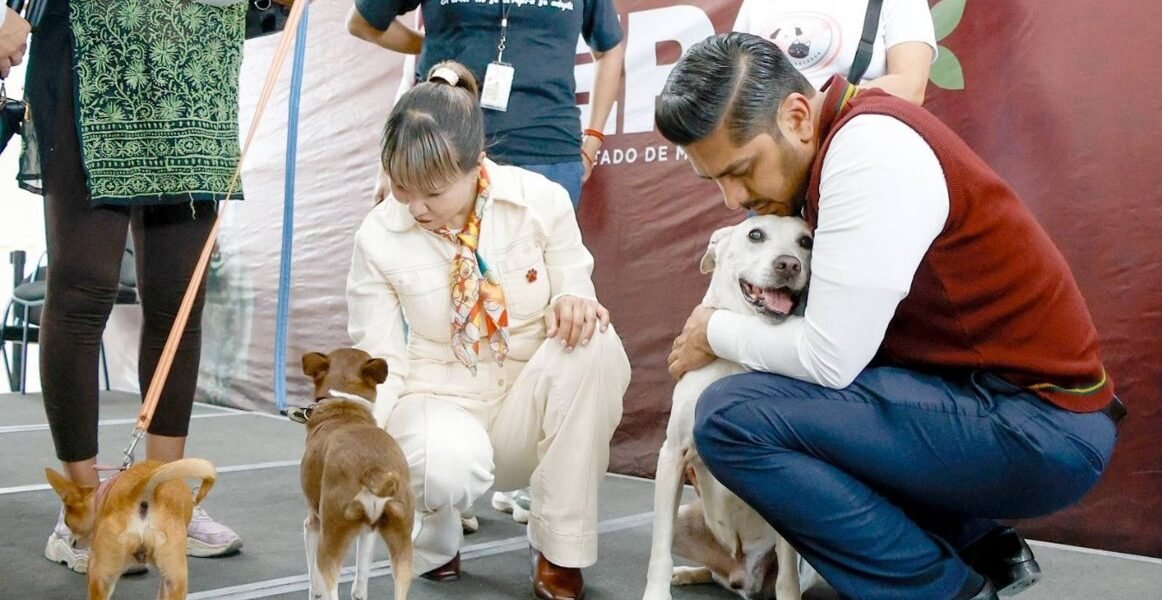 Estrategia CERA llega a Nezahualcóyotl para proteger animales en situación de calle