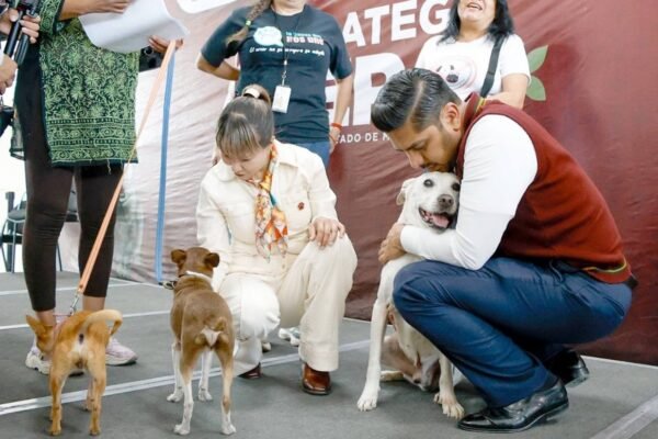 Estrategia CERA llega a Nezahualcóyotl para proteger animales en situación de calle