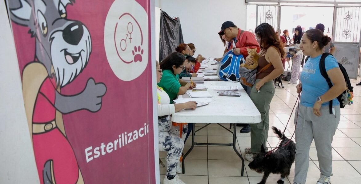 Nezahualcóyotl activa programa CERA para proteger a animales en situación de calle