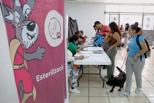 Nezahualcóyotl activa programa CERA para proteger a animales en situación de calle