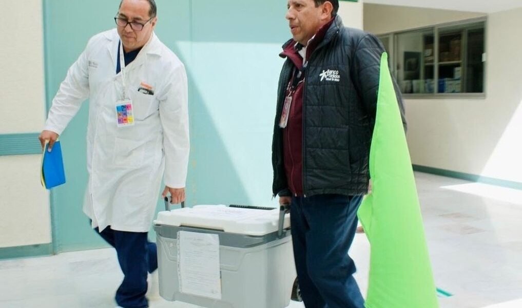 Ola Verde: la estrategia que ha salvado vidas con 8 trasplantes de órganos en 2026
