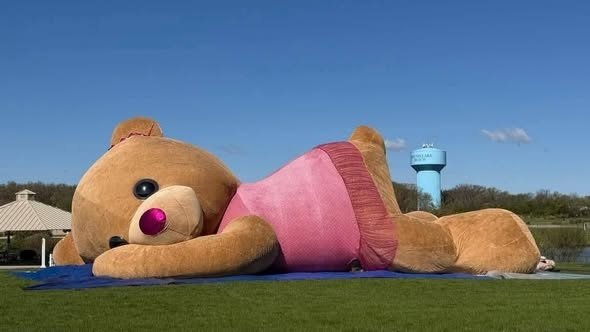 Xonita: la osa de peluche más grande del mundo llega a Chicago