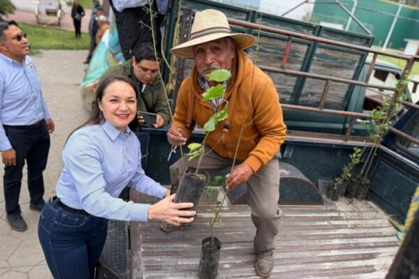 Amecameca inicia producción de agave pulquero y mezcalero con programa piloto