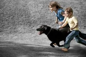 Mascotas en casa: cómo enseñar responsabilidad a los niños