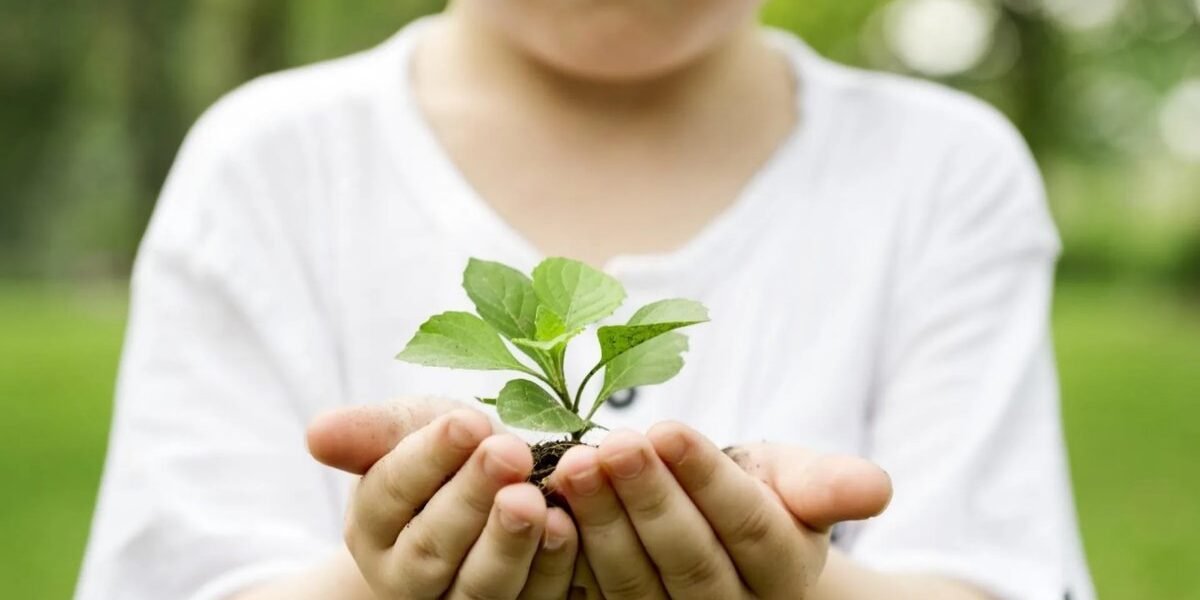 12 actividades para inculcar cultura ambiental en los niños desde temprana edad