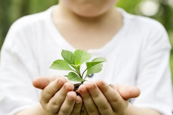12 actividades para inculcar cultura ambiental en los niños desde temprana edad
