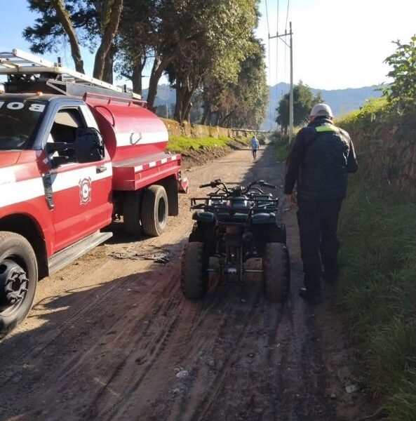 Liberan vía obstruida por caída de árbol en Santa Isabel Chalma
