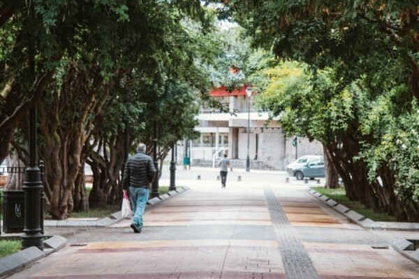 ¿Más allá de números? Los dilemas reales de la educación superior latinoamericana