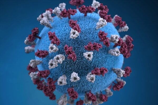 Inteligencia artificial predice y diseña vacunas para coronavirus que aún no emergen