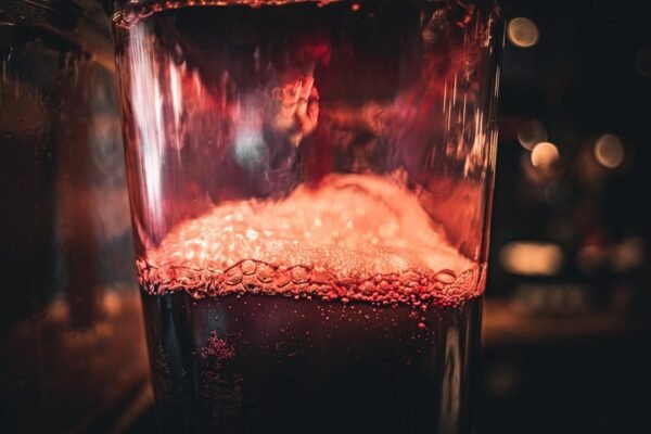 La cerveza que inmuniza: un experimento casero que divide a la ciencia