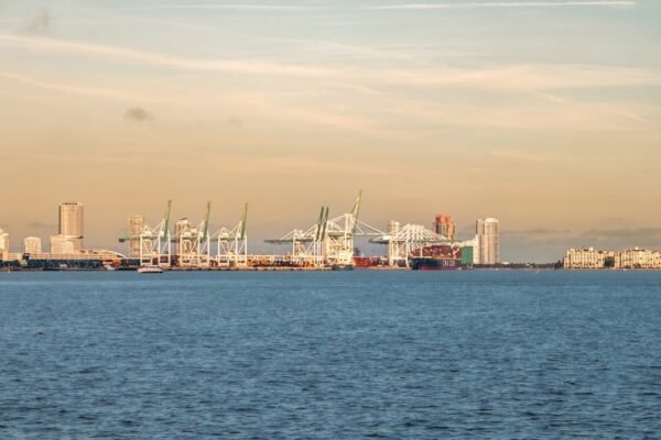 Los puertos de México se reinventan: cómo China redibuja el mapa del comercio regional