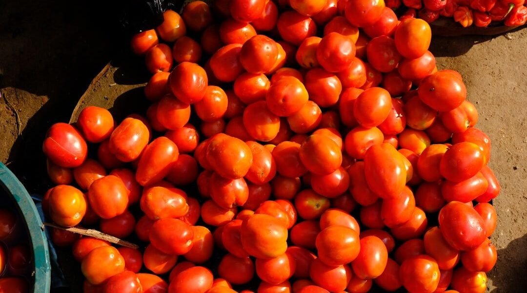 El tomate rojo vuelve a ser accesible: cae a 30 pesos en México