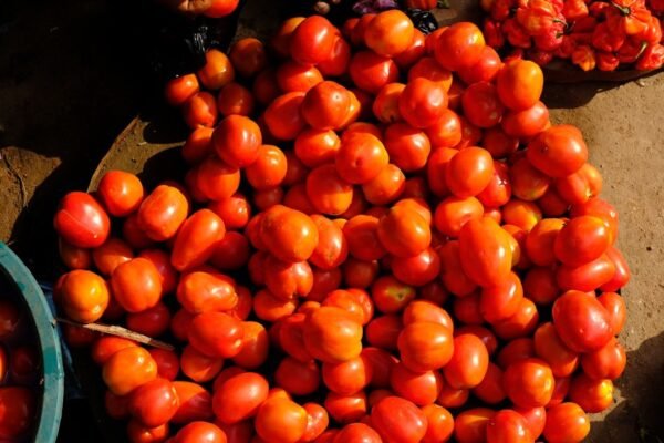El tomate rojo vuelve a ser accesible: cae a 30 pesos en México