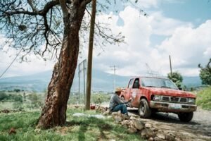 México apuesta por la movilidad eléctrica: Olinia llega como respuesta local