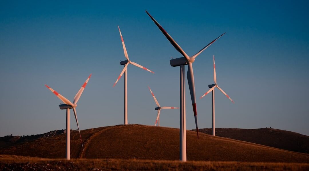 Los gigantes financieros mundiales se disputan Acciona Energía