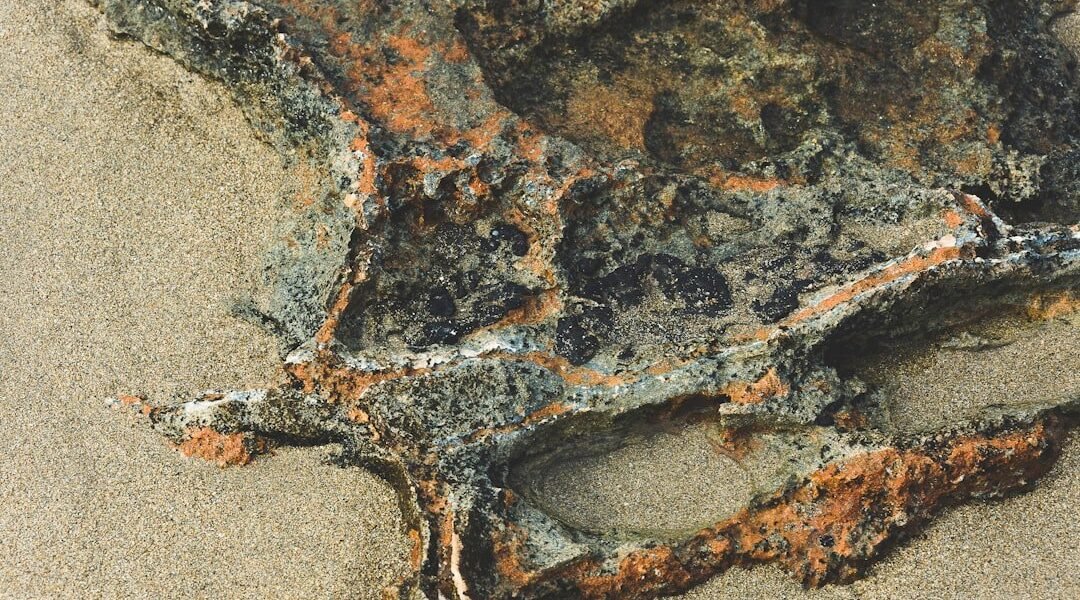 México revela el ancestro más antiguo del ajolote: una ventana a ecosistemas perdidos