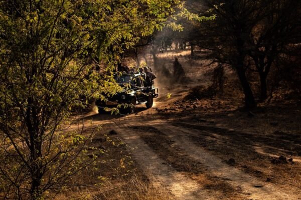 Latinoamérica se une: cinco países crean red de protección para defensores ambientales