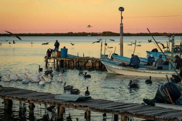 Ajolote mexicano: icono global que se desvanece en sus aguas natales