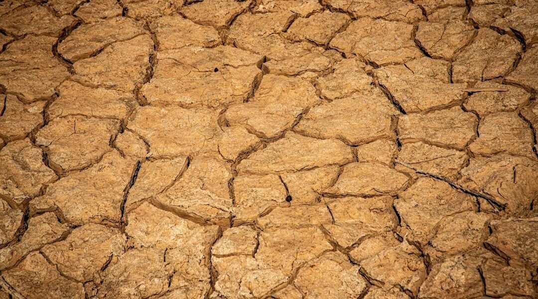 El colapso silencioso: cómo la desertificación avanza en continentes enteros