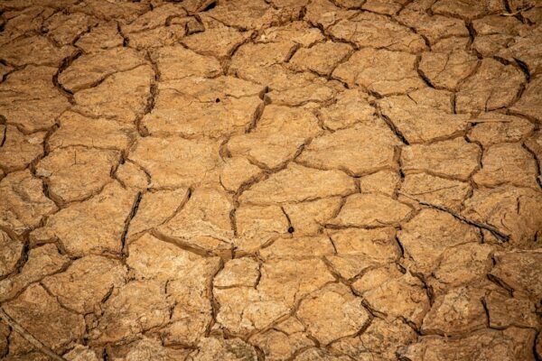 El colapso silencioso: cómo la desertificación avanza en continentes enteros