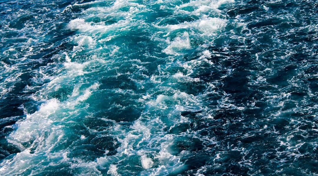 Hallazgo en aguas árticas revela nueva especie que desafía 160 años de biología marina