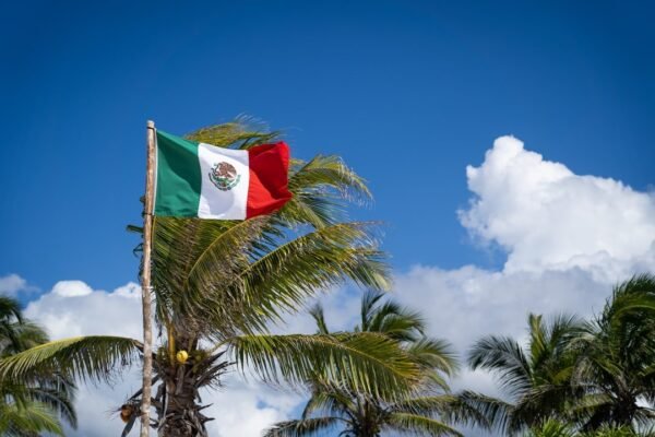 ¿Receta mágica o espejismo? El plan económico que promete transformar México