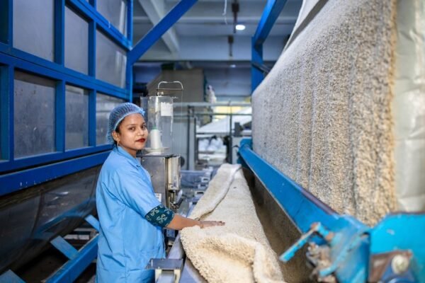 Sinaloa impulsa proyecto de amoniaco con respaldo de sectores agrícola y empresarial
