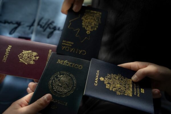 Seguridad y Estado de Derecho: El Desafío de México ante la Criminalidad Organizada