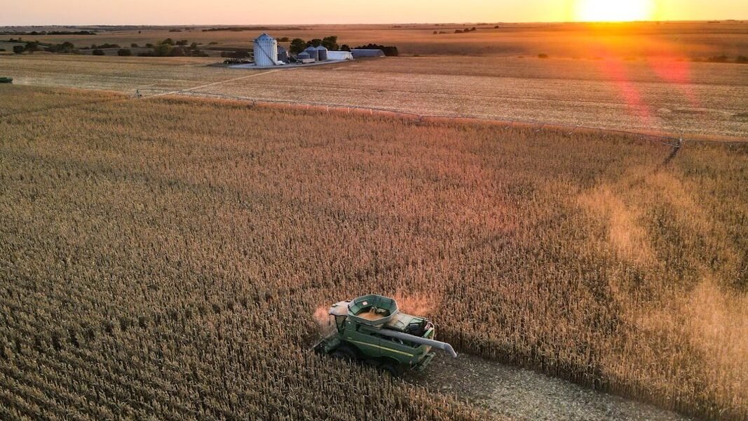 El apetito brasileño por la agroinnovación: ¿nueva ola de inversión en Guatemala?