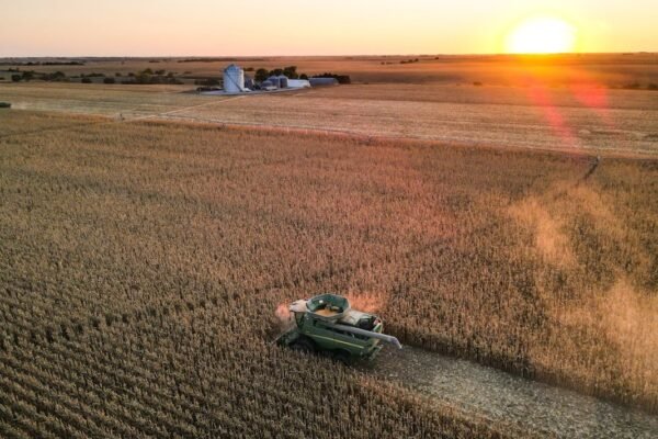 El apetito brasileño por la agroinnovación: ¿nueva ola de inversión en Guatemala?