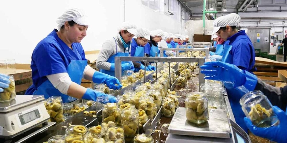 Productividad laboral cae 0.1% en primer trimestre de 2026