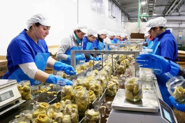 Productividad laboral cae 0.1% en primer trimestre de 2026
