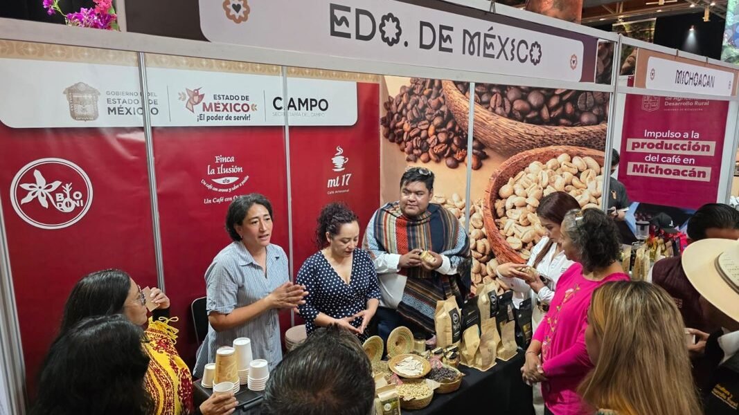 Caficultores mexiquenses llevan sus mejores granos a la CONCAFÉ 2026 en Puebla